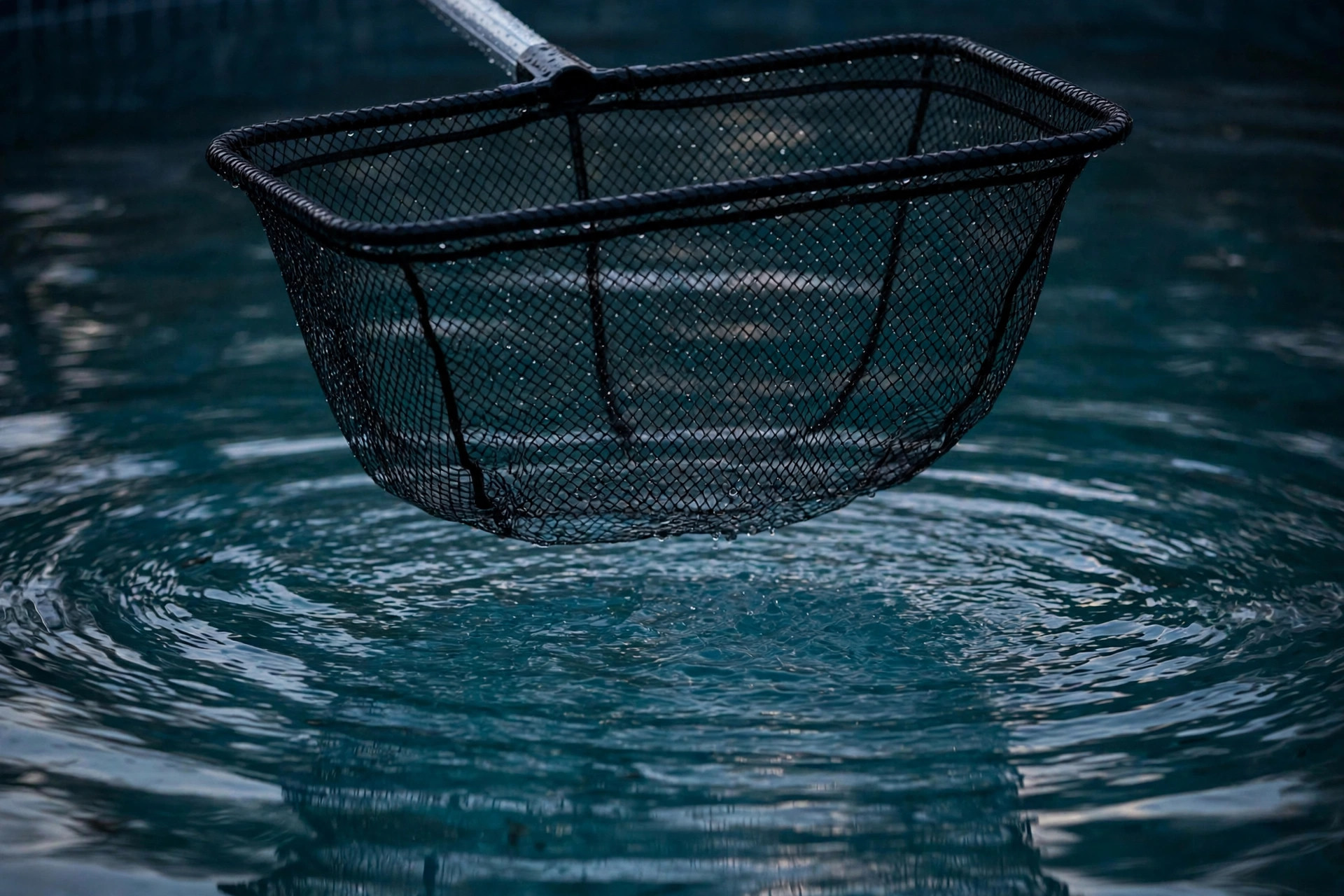 A skimmer net just above clear pool water at dawn